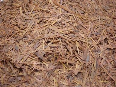 Lapacho (Tabebuia Auellanedae)