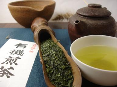 Sencha No.1 (Kirishima) 