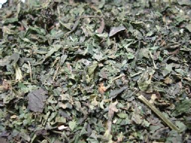 Stinging Nettle Leaves (shredded)