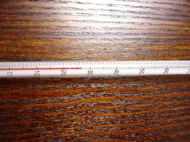 Tea Thermometer