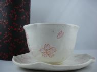 Japanese Teacup and saucer