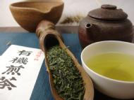 Sencha No.1 (Kirishima) 