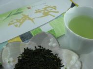 Shincha Yabukita - 2023