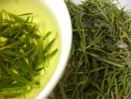 Young Winter Bamboo Leaves